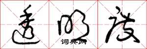 曾庆福透明度草书怎么写