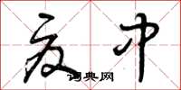 曾庆福夏中草书怎么写