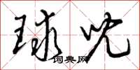 曾庆福球儿草书怎么写