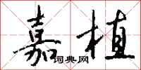 钱沛云嘉植行书怎么写