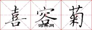 黄华生喜容菊楷书怎么写