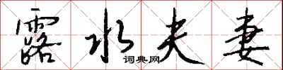 钱沛云露水夫妻行书怎么写