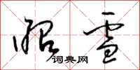 梁锦英昭雪草书怎么写