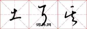 梁锦英土耳其草书怎么写