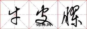 梁锦英牛皮胶草书怎么写