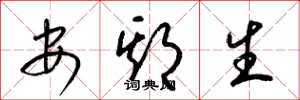 梁锦英安期生草书怎么写