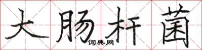 骆恒光大肠杆菌楷书怎么写