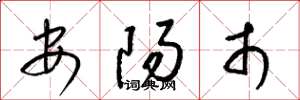 梁锦英安阳市草书怎么写