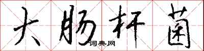 钱沛云大肠杆菌行书怎么写