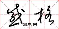 梁锦英感格草书怎么写