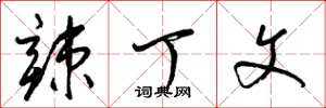 梁锦英辣丁文草书怎么写