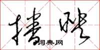 梁锦英播映草书怎么写