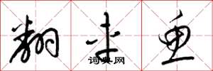 梁锦英翻车鱼草书怎么写