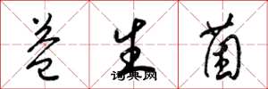 梁锦英益生菌草书怎么写