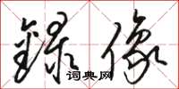 骆恒光录像草书怎么写