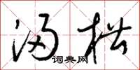 梁锦英浸槽草书怎么写