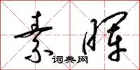 梁锦英素晖草书怎么写