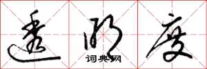 梁锦英透明度草书怎么写