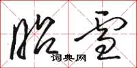 骆恒光昭雪草书怎么写