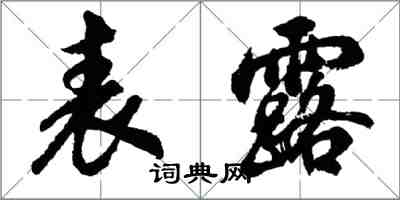 胡问遂表露行书怎么写