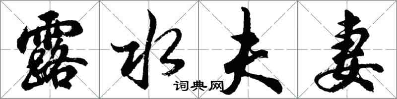 胡问遂露水夫妻行书怎么写