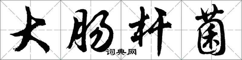 胡问遂大肠杆菌行书怎么写