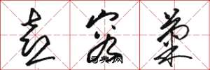 骆恒光喜容菊草书怎么写