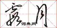 骆恒光霞月草书怎么写
