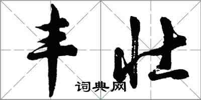 胡问遂丰壮行书怎么写