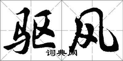 胡问遂驱风行书怎么写
