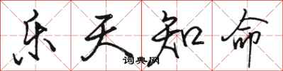 骆恒光乐天知命行书怎么写