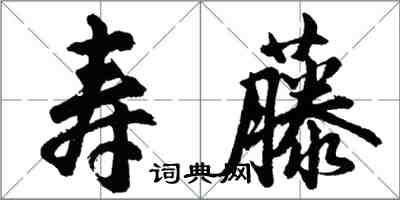 胡问遂寿藤行书怎么写