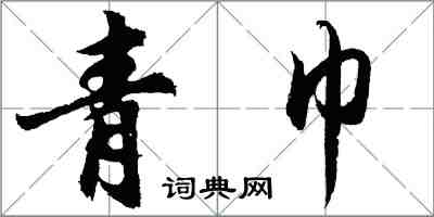 胡问遂青巾行书怎么写