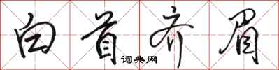 骆恒光白首齐眉行书怎么写