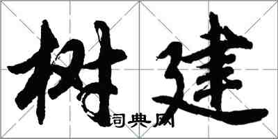胡问遂树建行书怎么写