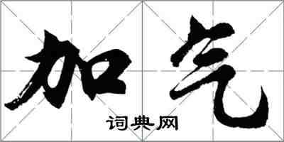 胡问遂加气行书怎么写
