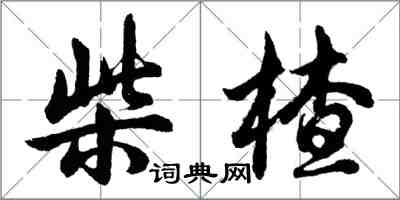 胡问遂柴楂行书怎么写