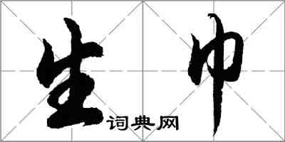 胡问遂生巾行书怎么写