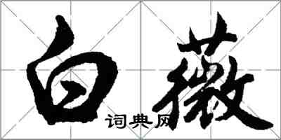 胡问遂白薇行书怎么写