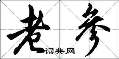 胡问遂老参行书怎么写