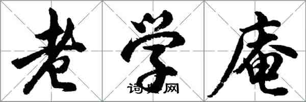 胡问遂老学庵行书怎么写