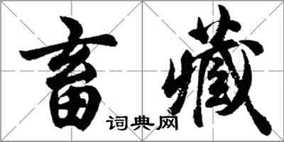 胡问遂畜藏行书怎么写