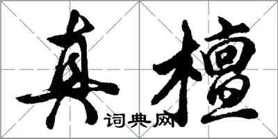胡问遂真檀行书怎么写