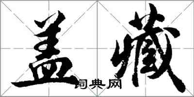 胡问遂盖藏行书怎么写
