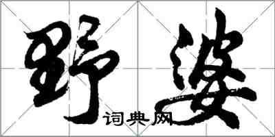 胡问遂野婆行书怎么写