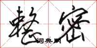 骆恒光整密行书怎么写