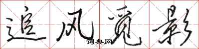 骆恒光追风觅影行书怎么写