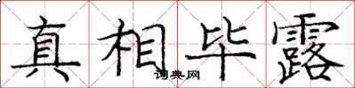 庞中华真相毕露楷书怎么写