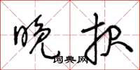 王冬龄晚报草书怎么写