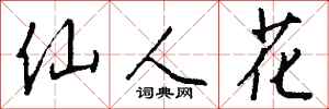 钱沛云仙人花行书怎么写